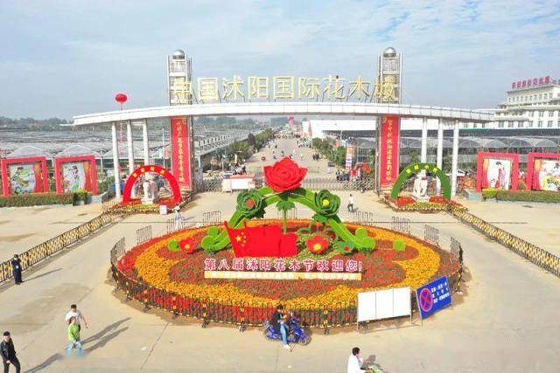 满城花店的电话号码是什么?如何找到最新的联系方式?