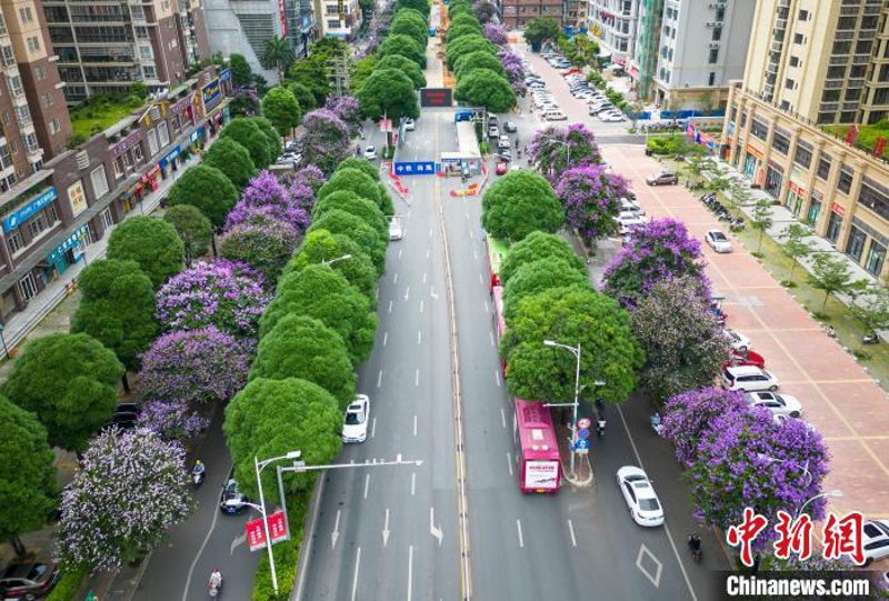 科普解读类文章标题:满城花灯电视剧背后的文化意义